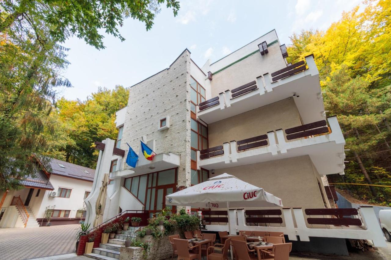 Former Ceausescu'S Vila Crizantema Hotel Baile Govora Exterior photo